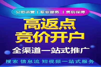 揭秘SEM竞价成功案例，助你提升ROI
